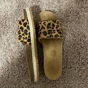 Cheetah print shoes